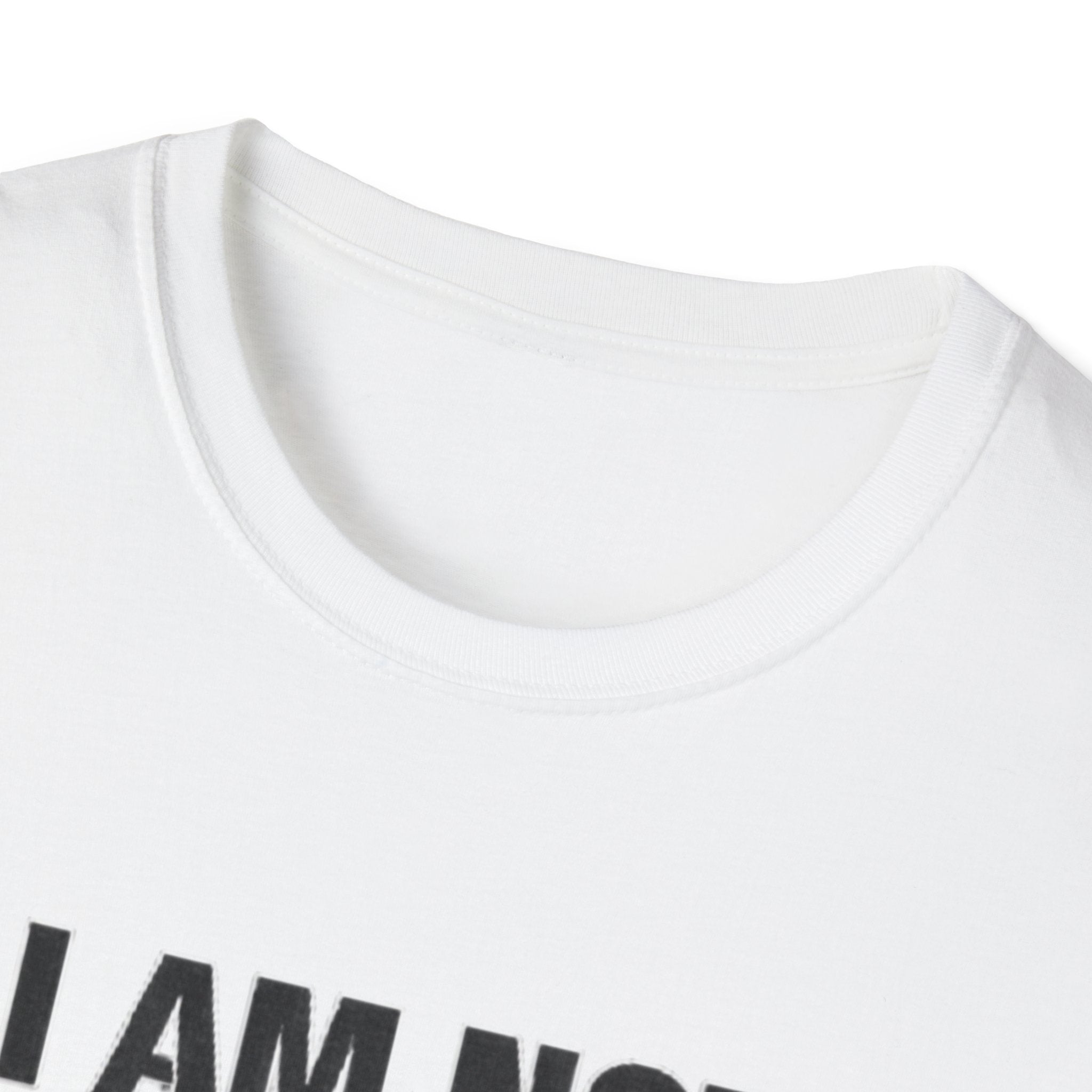 Not the bigger person T-Shirt