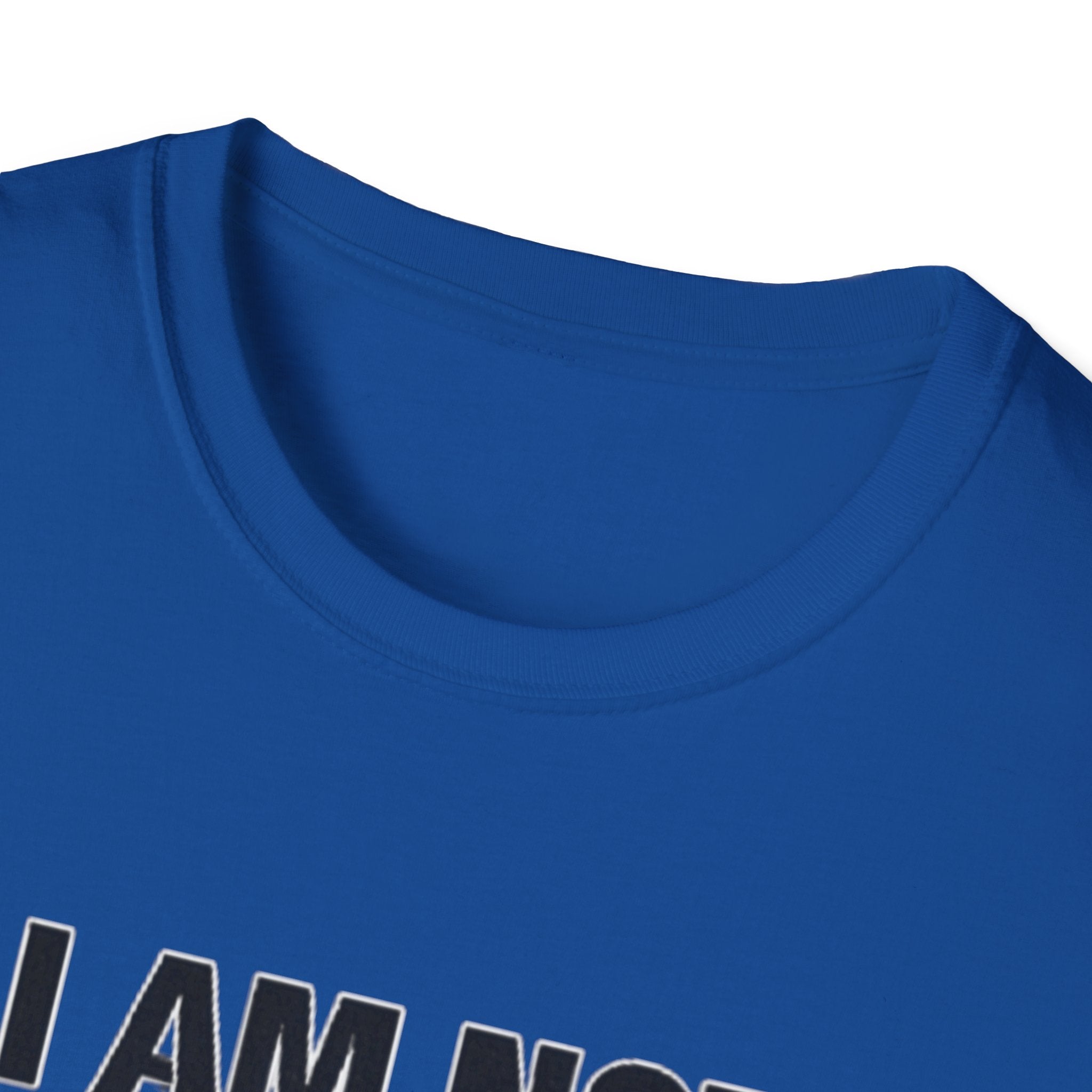 Not the bigger person T-Shirt
