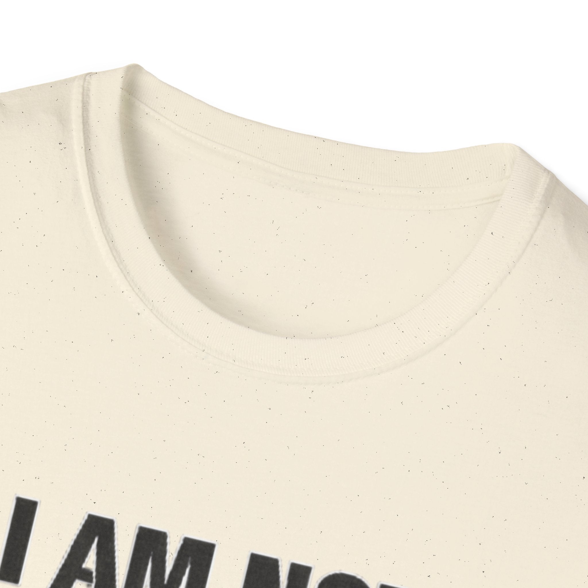 Not the bigger person T-Shirt