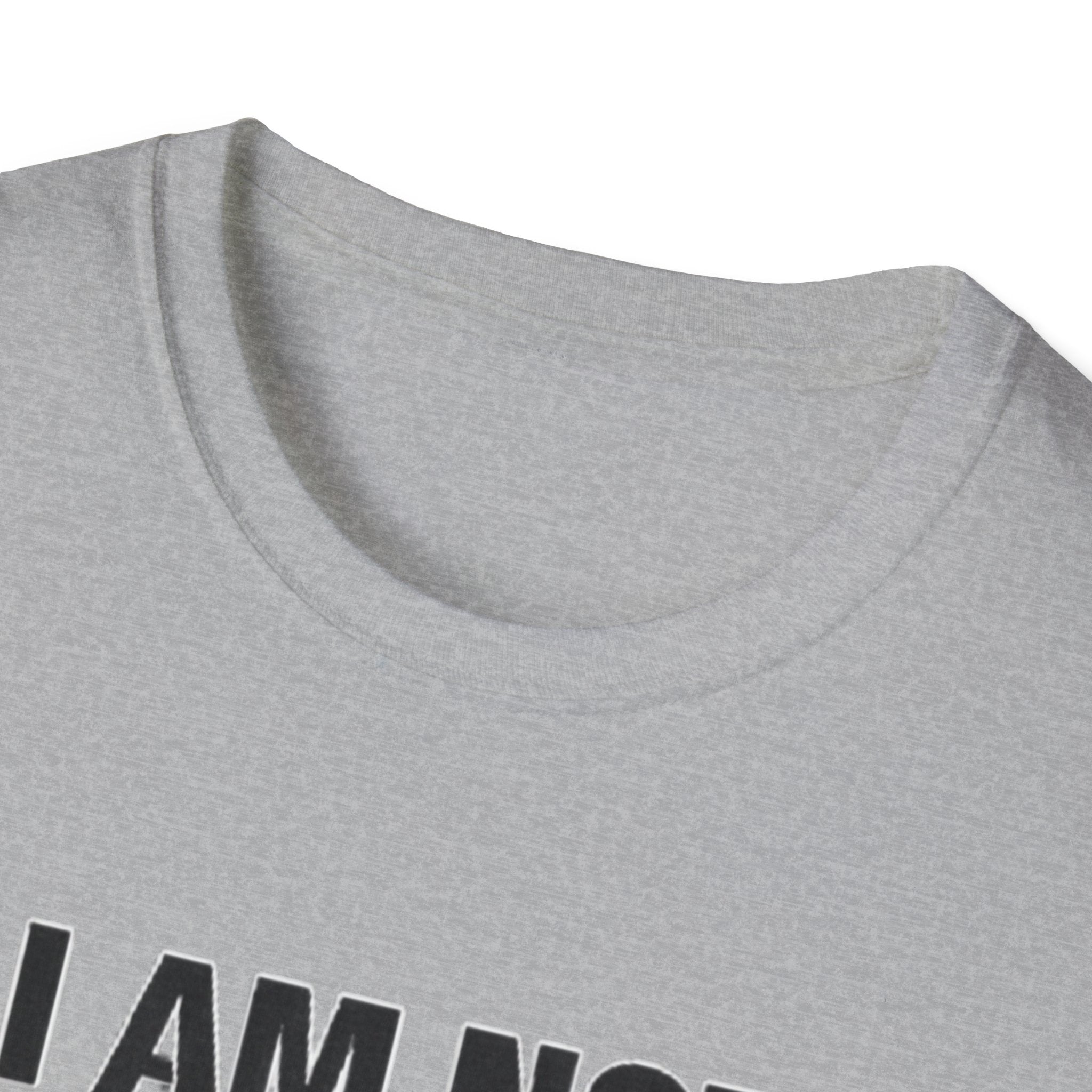 Not the bigger person T-Shirt