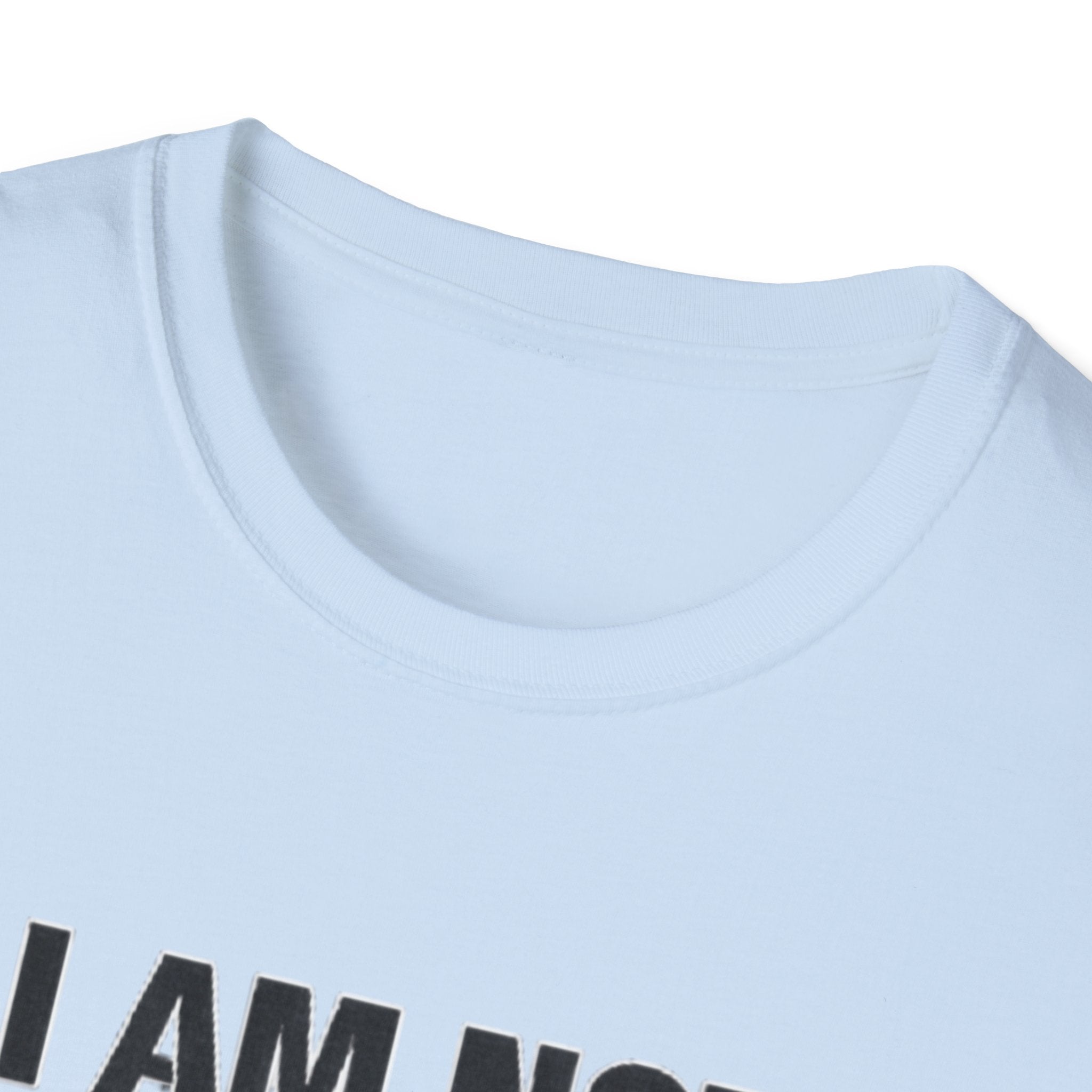 Not the bigger person T-Shirt